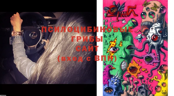 spice Зеленодольск