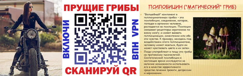 Галлюциногенные грибы GOLDEN TEACHER  Славск 